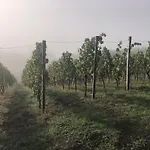 Dom wakacyjny Portugieser Auf Dem Weinberg *