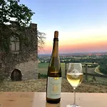 Portugieser Auf Dem Weinberg Dom wakacyjny
