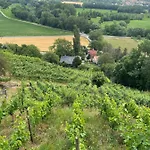 Portugieser Auf Dem Weinberg *