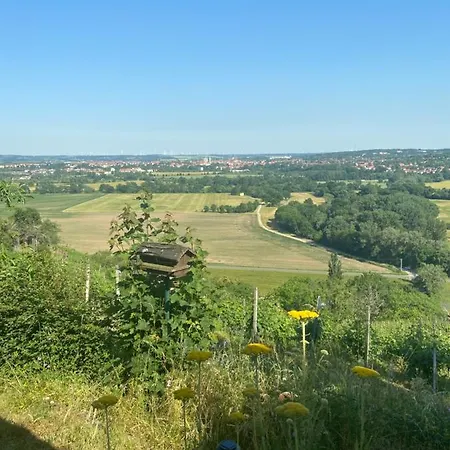 Portugieser Auf Dem Weinberg * Naumburg (Saale)