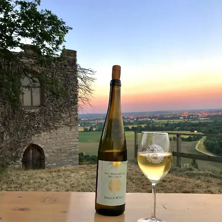 Portugieser Auf Dem Weinberg Feriehus