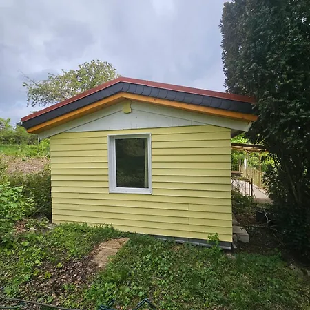 Portugieser Auf Dem Weinberg *