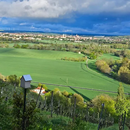 Portugieser Auf Dem Weinberg Ferienhaus Naumburg (Saale)