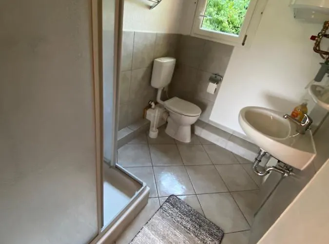 Portugieser Auf Dem Weinberg *