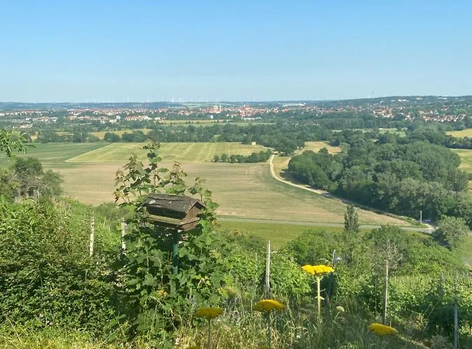 Portugieser Auf Dem Weinberg * Naumburg (Saale)