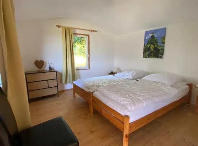 Portugieser Auf Dem Weinberg