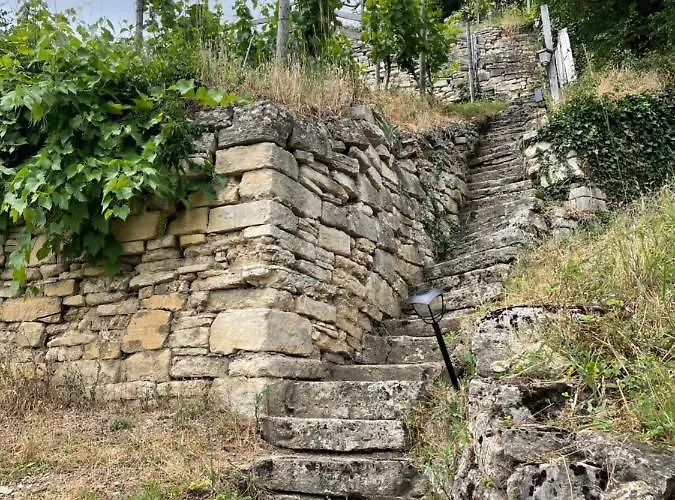 Portugieser Auf Dem Weinberg Casa vacanze Naumburg (Saale)