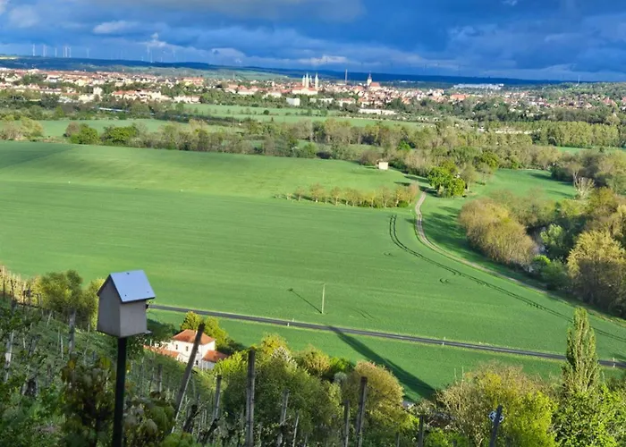 Portugieser Auf Dem Weinberg Casa vacanze Naumburg (Saale)